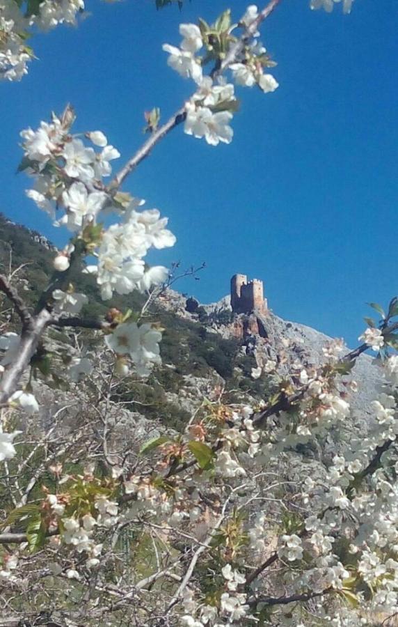 Casa La Oliva Villa Albanchez de Úbeda Eksteriør bilde